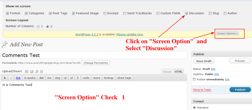 wordpress screen option use