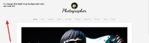 Photographer By Organic Themes background Modifications