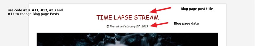 photographer  by  organic  themes  blog  page  modifications 