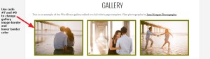 Photographer By Organic Themes gallery page Modifications