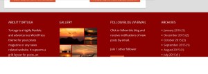 Tortuga By ThemeZee footer widget backround Modifications