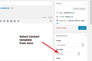 Avada theme creating contact page