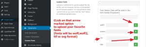avada theme custom font installation