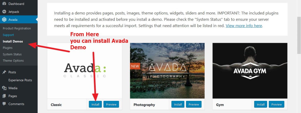 avada theme demo installation