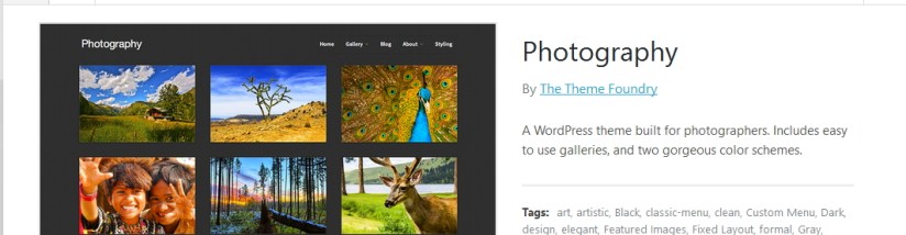 theme photography for photographer