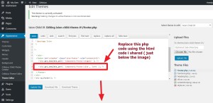Theme-ixion-footer-credit-modification