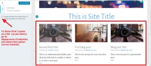 show image side by side just above blog posts