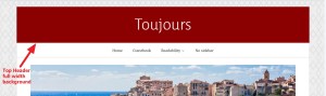 Top Header full width background