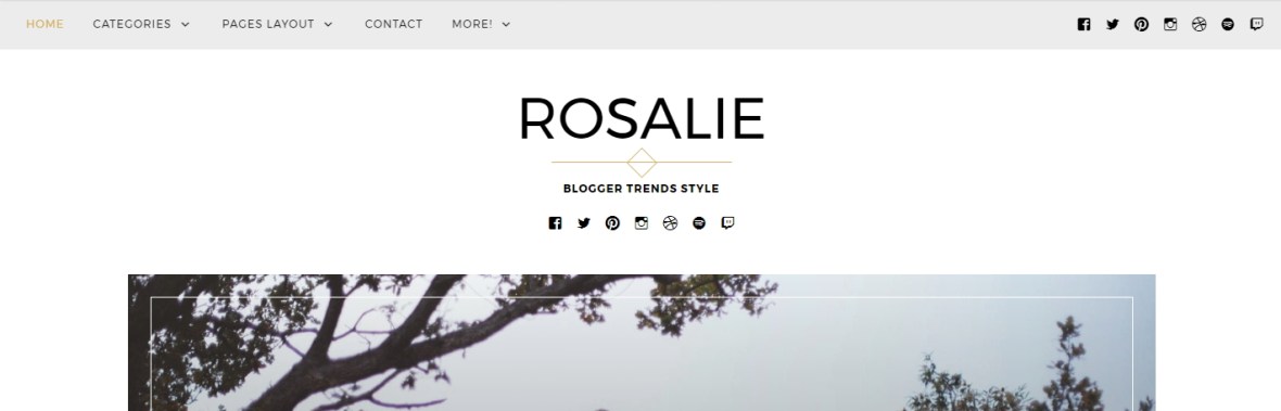 wordpress theme rosalie modifications documentation support customization css help