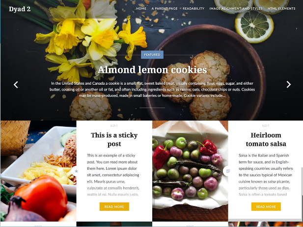 dyad2 by Automattic documentation and tutorials