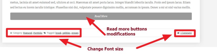 Blog or tag page Read More button modifications