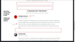 single post comment section modification wordpress