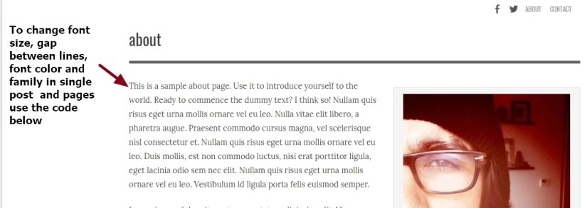 Gridspace By Graph Paper Press single post or page contents font size color gap font family modification