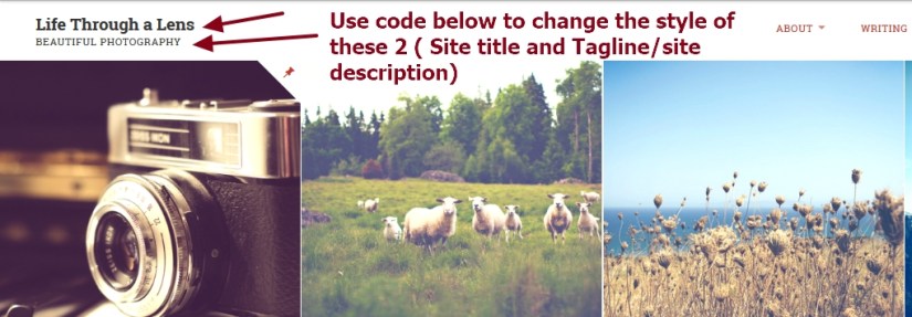 Lens By Pro Theme Design Site title and tagline modifications