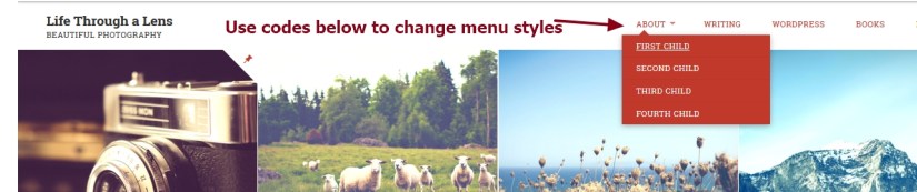 Lens By Pro Theme Design menu and sub menu items modifications