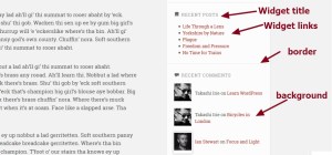 Lens By Pro Theme Design sidebar widget section modification