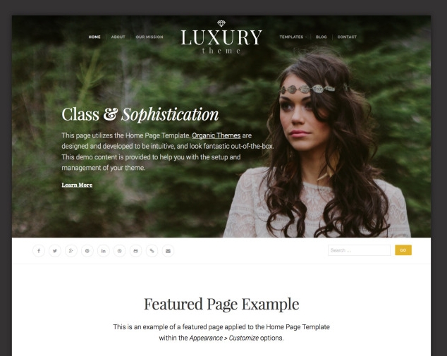 Luxury brand theme wordpress