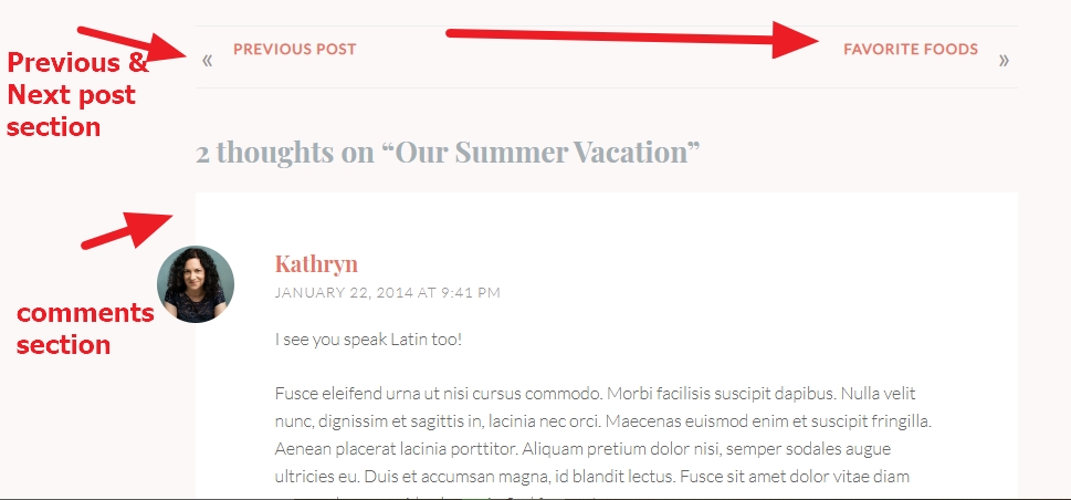 previous and next post and comments section modifications wordpress theme