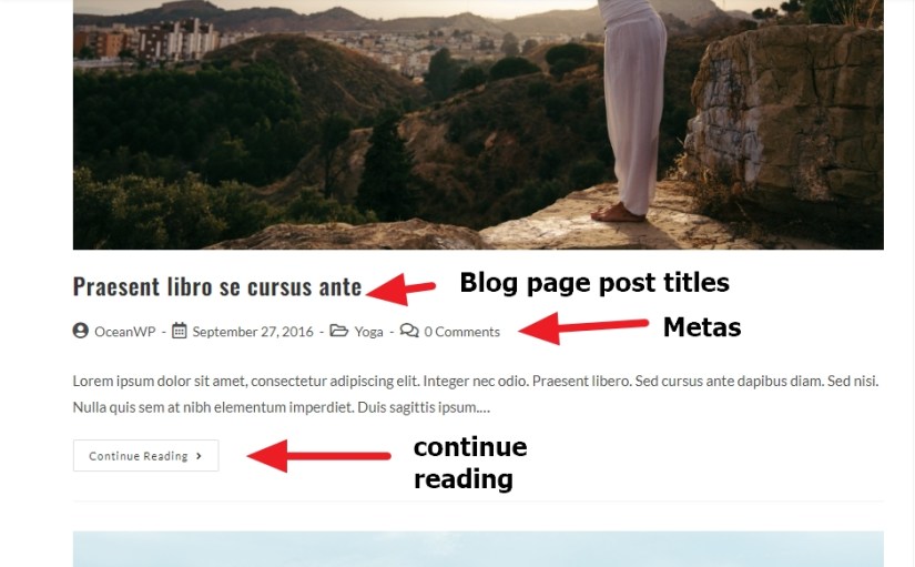 Yoga based wordpress theme blog post title and continue reading modification