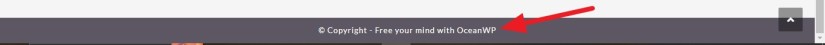 Yoga based theme footer copyright section in wordpress