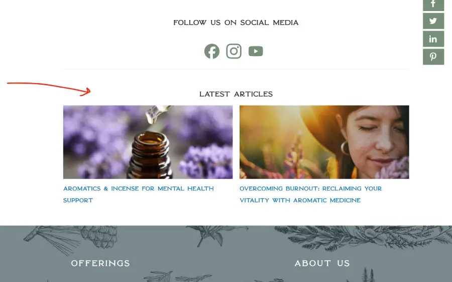 Smart Theme V3 by Optimizepress