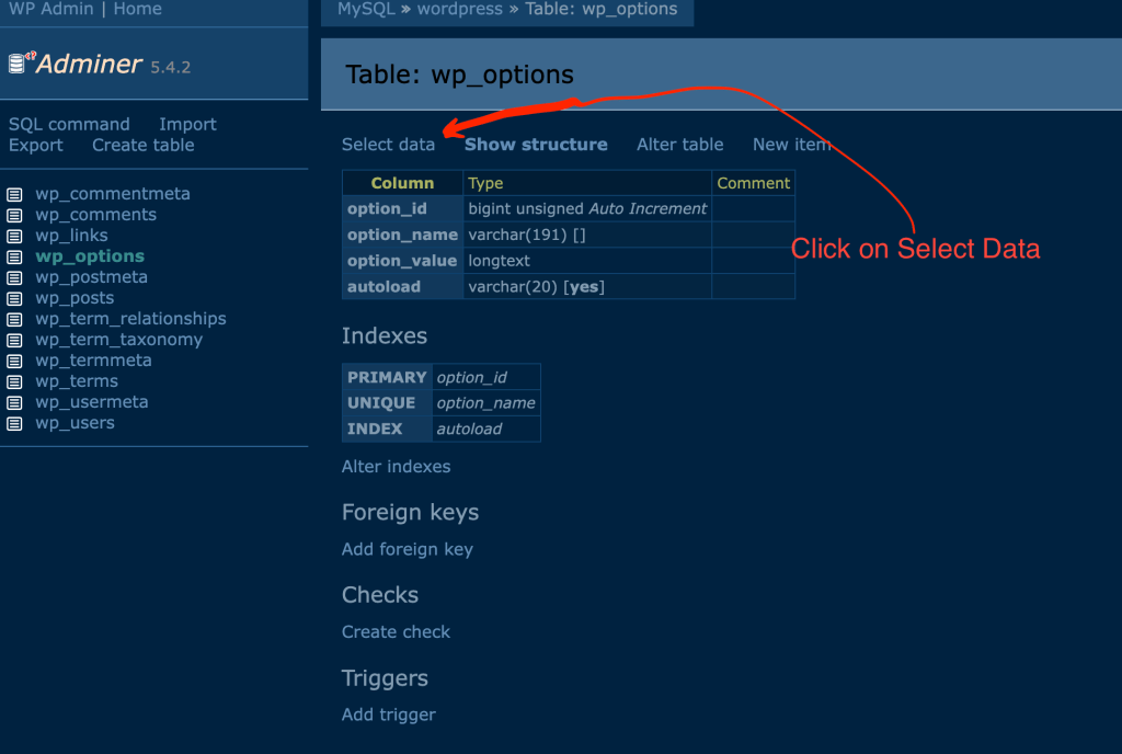 wp_options table data select in wp adminer