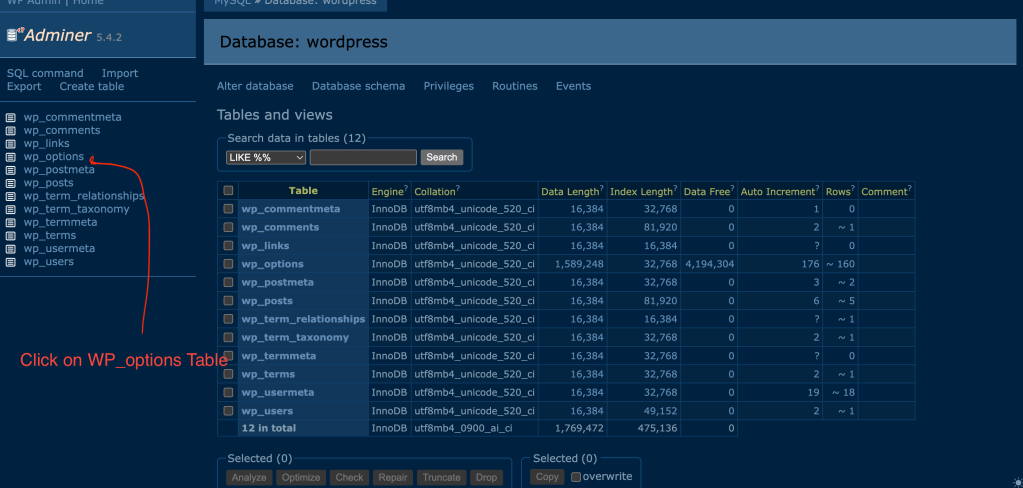 wp_options table in wp adminer from wordpress dashboard