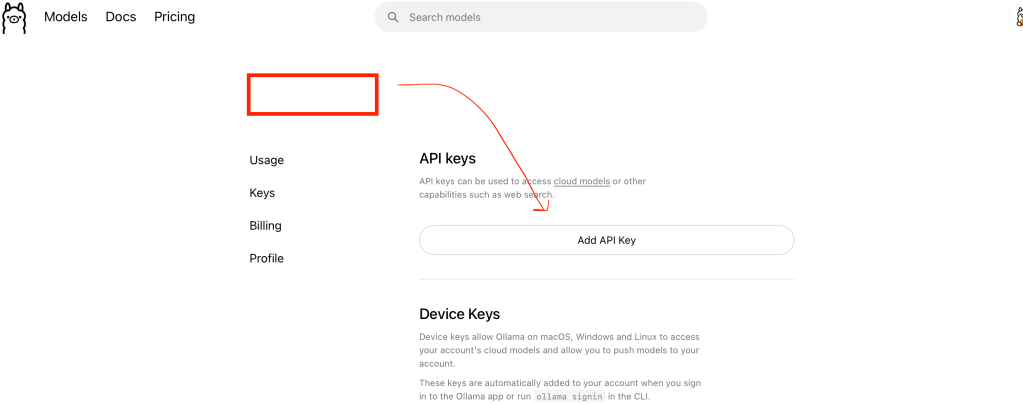 Ollama API Key